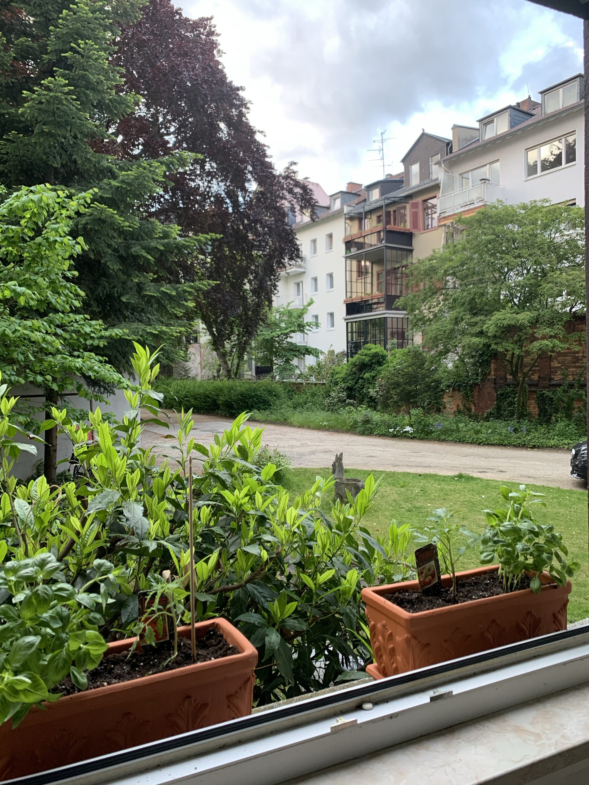 Küche mit Blick ins Grüne